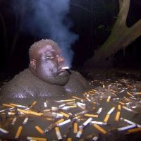 original sound - pandaring09