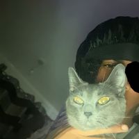 incog.aymz0
