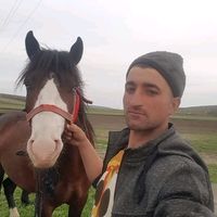 cristeamariusdumytru