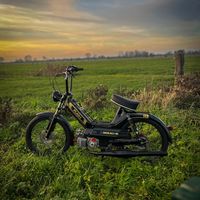 judah_koppelman