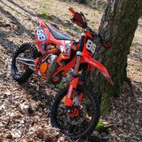 fuchsi572