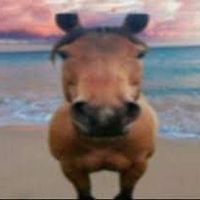 username642802