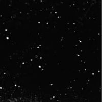 starzavxk