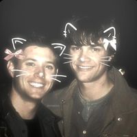 yn.spn.hp