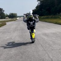 donkeihsq