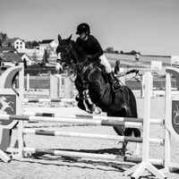 showjumper_ontour