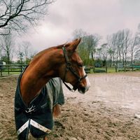 woodyyy023
