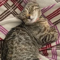 original sound - n.moorez