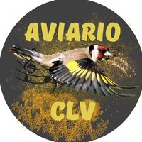 aviarioclv
