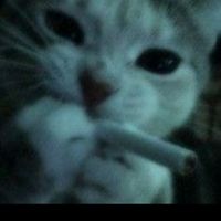 noemi_3338
