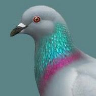 NIENAWIDZĘ BYĆ W KLUBIE