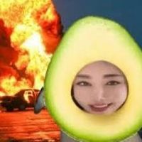 boodzajna_avocado