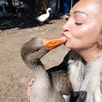 eve_4444