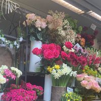 ayse_caliskan_06