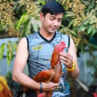 pomsumail_farm