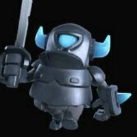 ilp.e.k.k.aselvatico104