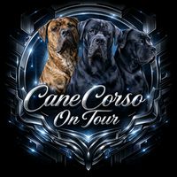 canecorsoontour