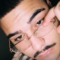 papav_2.0