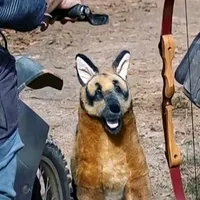 original sound - infinite224988988