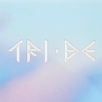 tri.be.vidaloca