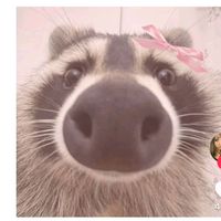 randomacc_089