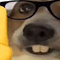 julespxmyqc