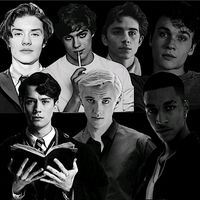 multifandom_1d_snc_hp