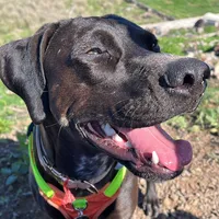 original sound - bilboenlared