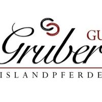 islandpferde_gruber_gut
