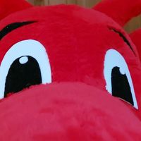 dewi.dragon.wales