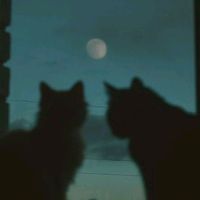 original sound - owbear