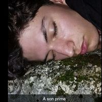 compte_stalk_de_david