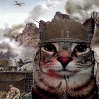 olijfcia4