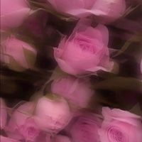 sxxsomp