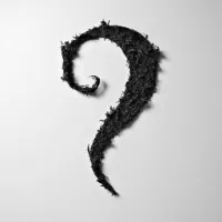 original sound - randomfactfr