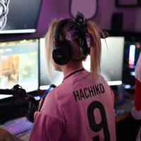 hachikotwitch