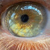 coolfunnyamazingdiva