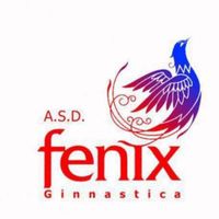 asdfenixginnastica