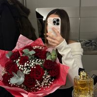 mina.dmr