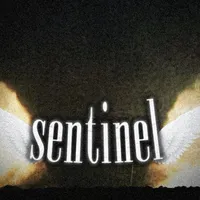 original sound - steyrscout360