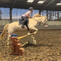 emily._equestrianx