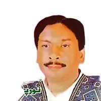 shaheensoundservice