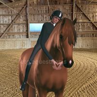 etg.equestrian.s