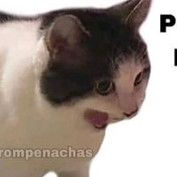 Mulan Todo Un Hombre Haré De Ti