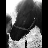 alkuperäinen ääni