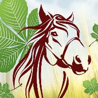 stajnia_pod_kasztanem