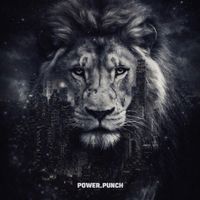 power.punch.instagram