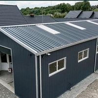 moisehalemetalicepintea