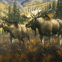 thehuntercotwsweden
