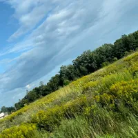 original sound - double_twin2